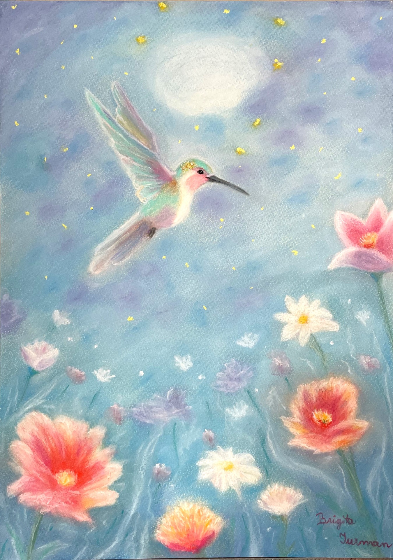 Kolibřík, pastel na papíře 30 x 42 cm, rok 2025